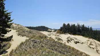 Oregon Dunes Day Use Area