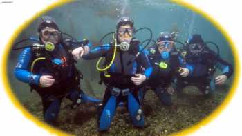 Buceo Euskadi