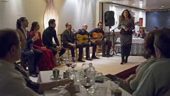 Laura Segovia Flamenco. Espectáculos y Formación