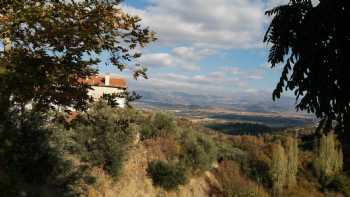 Dia-karacasu Aydın Şubesi