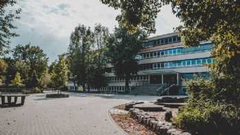 Primary School under the trees