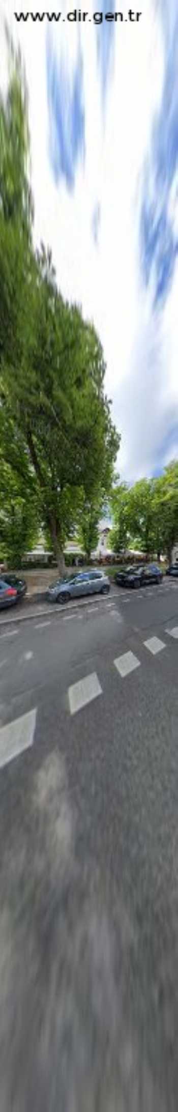 Primary School under the trees