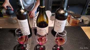 Suvla Winery / Bistro Wine Bar / Wine Shop