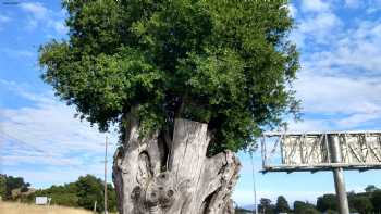 Redwood Parents Nursery School