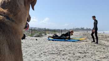 Encinitas Surf Lessons