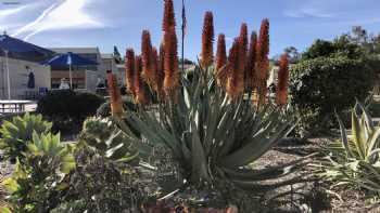 Diegueno Middle School