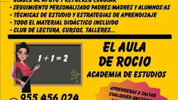 El Áula De Rocío Academia De Estudios