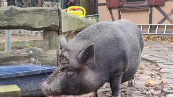 Kinderbauernhof Knirpsenfarm