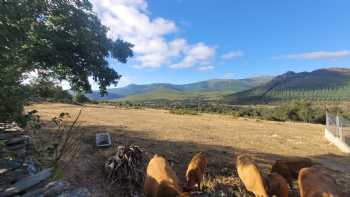 La Cuesta, León