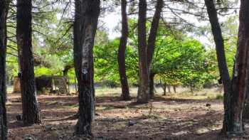 Aula forestal BROTES Tabuyo