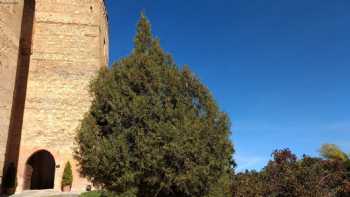 Castle of Castilnovo