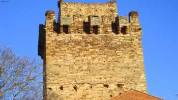 Castillo de Quintana del Marco (sólo queda torre)