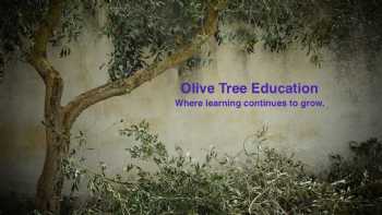 Olive Tree Education