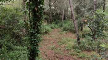 Associació Escola del Bosc La Comella / El Niu de la Comella