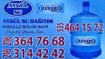 Aygül Su