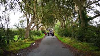 Dark Hedges Cottage