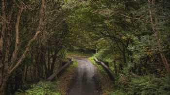 Burrenmore Nest