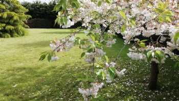 Arley House B&B