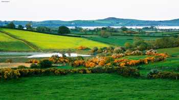 Slievemoyle Cottages