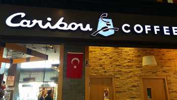 Caribou Coffee