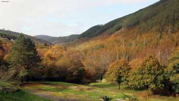 Afan Lodge