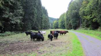 Thüringer Landesfortbildungsstätte