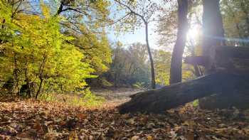 Waldkindergarten Ameisenhaufen