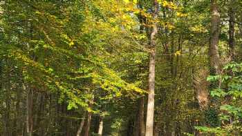 Waldkindergarten Ameisenhaufen