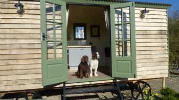 The Three Spaniels