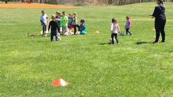 The Ginger Tree Preschool of the Arts