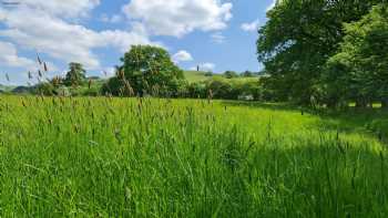 Wild Welsh camping