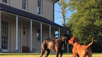 Llwynhelig Manor Bed & Breakfast