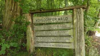 Wohldorfer Wald Nature Reserve