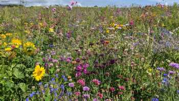 Rosedew Farm Holiday Cottages & Wedding Venue