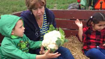 Milford YMCA Preschool