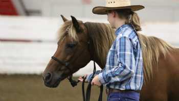 High Mountain Horsemanship Center