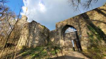 Burgruine Falkenstein