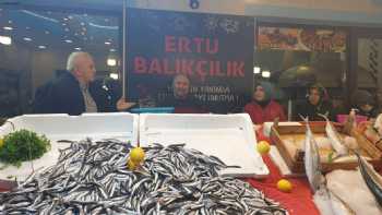 ertu balıkçılık