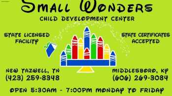 Small Wonders Child Development Center LLP