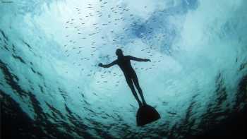 FREEDIVING HESSEN | APNEA-COLLEGE