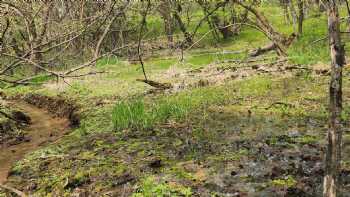 BIG STONE LAKE STATE PARK BONANZA EDUCATIONAL CENTER