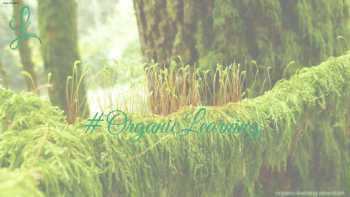 #OrganicLearning | Giovanni Fonseca