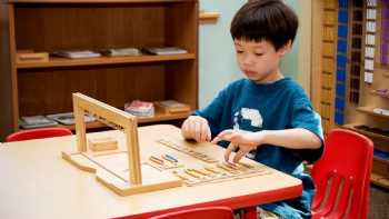 American Montessori, Inc