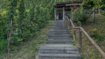 Roman wine press Brauneberg / Mosel