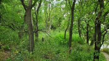 Original Site of the Ingalls Family Dugout