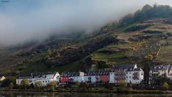 Boos-von-Waldeck-Grundschule Zell/Mosel