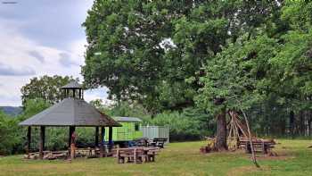 Klosterbergzwerge Waldkindergarten