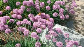 Learning Garden for Horticultural Science