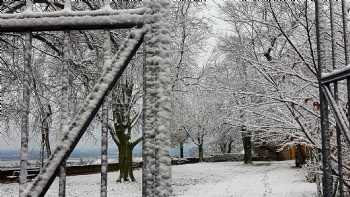 Schlossgarten