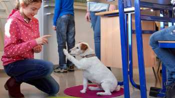 Ausbildungszentrum für Tiergestützte Pädagogik in RLP